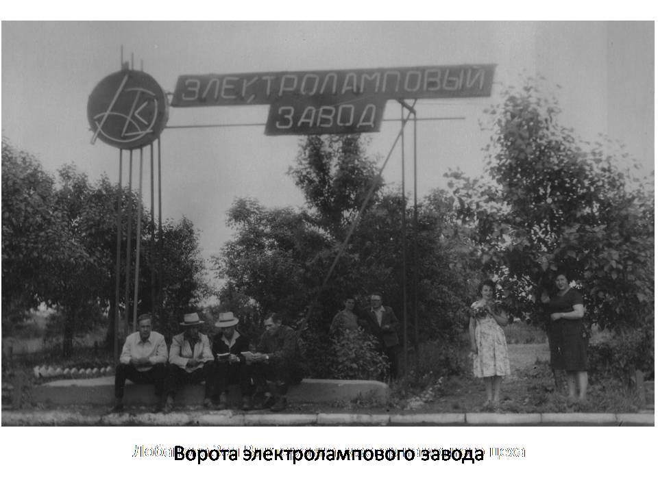    1964 